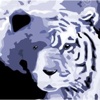 Caldiatech Logo