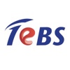 Total eBiz Solutions Pte Ltd Logo