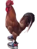 acortar link whatsapp Logo