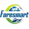 Foresmart Forwarding Logo