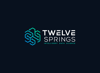 Twelve Springs Limited Logo