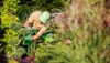 Rotherham Tree Services Logo