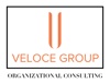 Veloce Group, LLC Logo