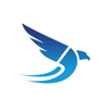 Design Hawk Logo