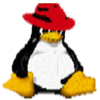 Pinguis Web Logo