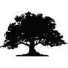Copper Shade Strategy, LLC Logo