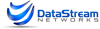 DataStream Networks Inc. Logo