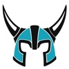 Viking Steel Structures Logo