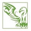 Eliminate Solutions Pest Control Logo