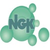 NGK & Associates Limited Logo