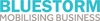 Bluestorm Solutions Logo