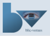 Website-Entwickler blic-voraus Logo