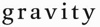 Gravity Logo