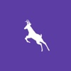 Leaap Media Logo
