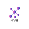 MindValley Solutions Logo