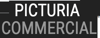 Picturia Commercial Photography Logo