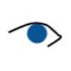 Actionable Insight Research, LLC Logo