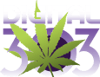 Digital 303 Logo