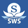 Soham Web Solution Logo