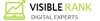 The Visible Rank Logo