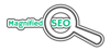 Magnified SEO Logo