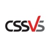 Canadian Self Storage Valuation Services Logo