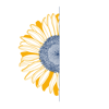 Sunflower Web Design and Branding Logo
