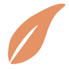 Allevity Recruiting & Staffing Logo