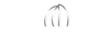 Asselin Michel Designers Inc Logo