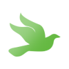 Spirit Pixels Logo