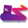 Broadlink Data Services, LLC. Logo