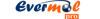 Evermore technology pvt Ltd Logo