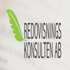 Accounting Consultant AB Logo