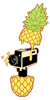 Squeeze Films Logo