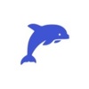 The Dolphinne Technologies Logo
