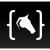 CodeBridle Logo
