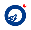 CHARLESON® Logo