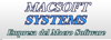 DSE Systems Mexico Logo