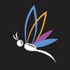 Dragonfly Branding Logo