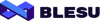 Blesu Logo