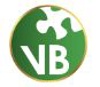 Vision Beyond Business Logo
