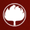 Burning Oak Studios Logo