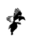 SROCA Translation Services Logo