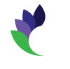 Delphinium Marketing Logo
