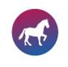 Steed Logo
