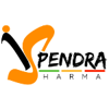 Digital Vipendra Logo