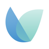 Eye Tea Studio Logo