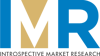Introspective Market Research Logo