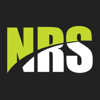 Nelson Recruitment Services Logo
