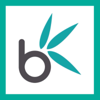 Bamboo Nine Logo